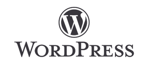 Home wordpress (12)